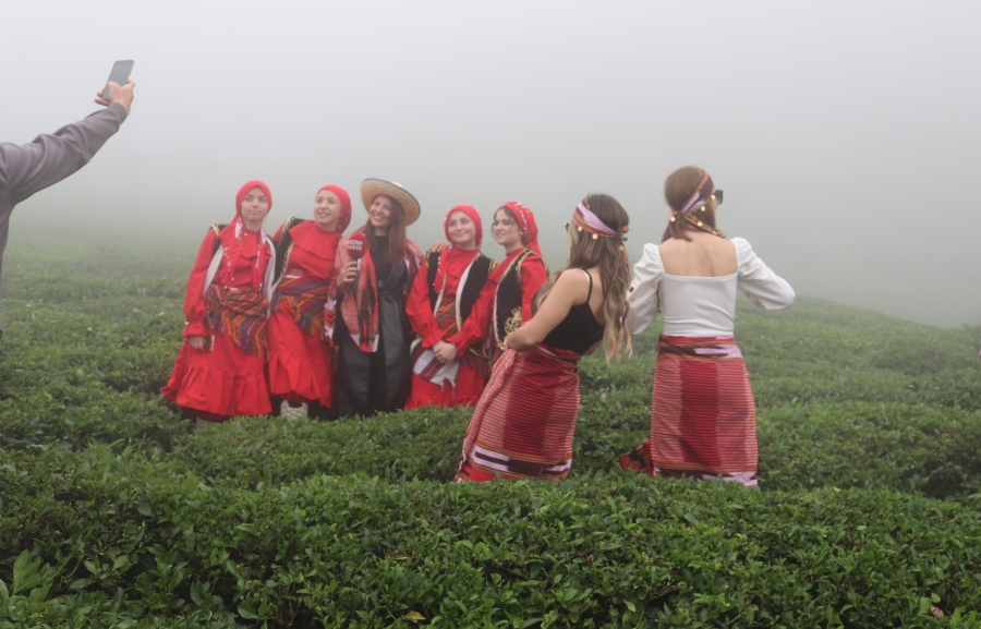  ÇAY HASADI BAŞLADI